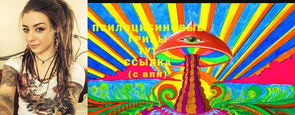 дмт Алзамай