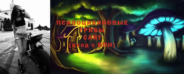 дмт Алзамай