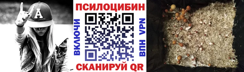 shop как зайти  Судак  Галлюциногенные грибы мицелий  где продают  